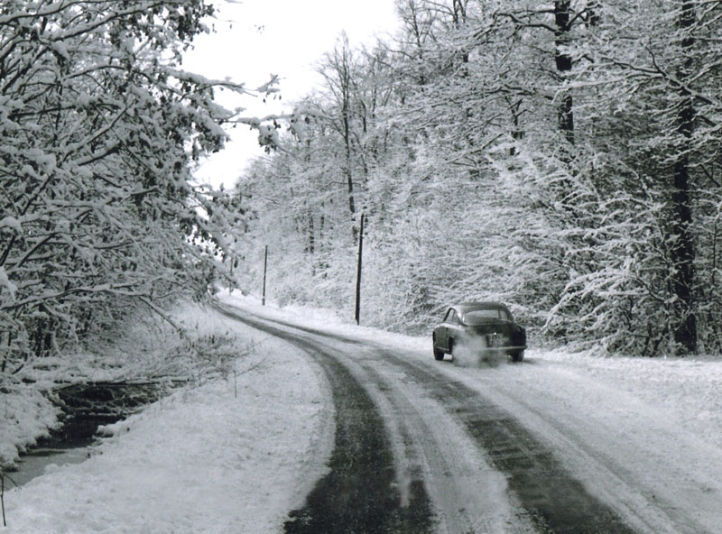 Alfa Christmas Card 2 - Copy.jpg