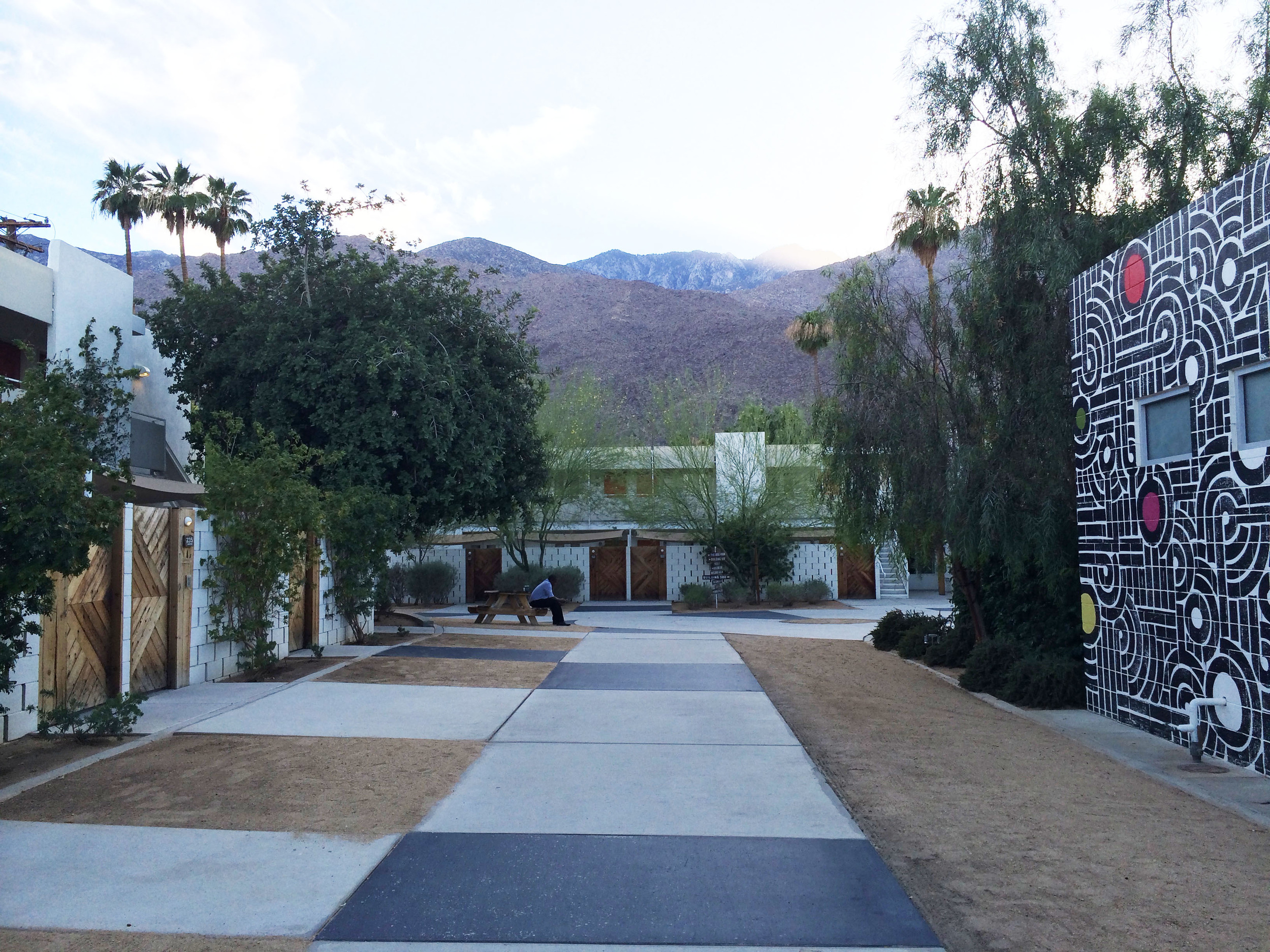 The grounds of the Ace.