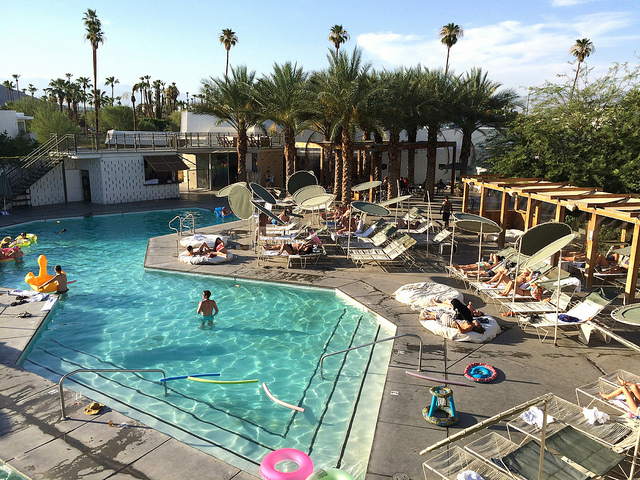 Morning pool scene at the Ace.