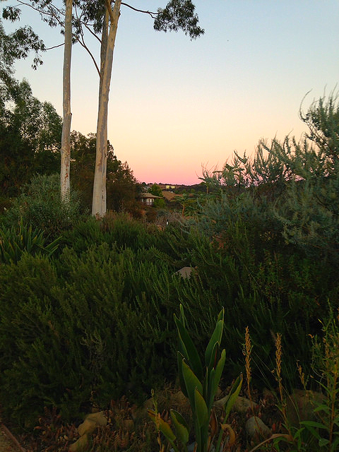 Twilight at Meditation Mount.