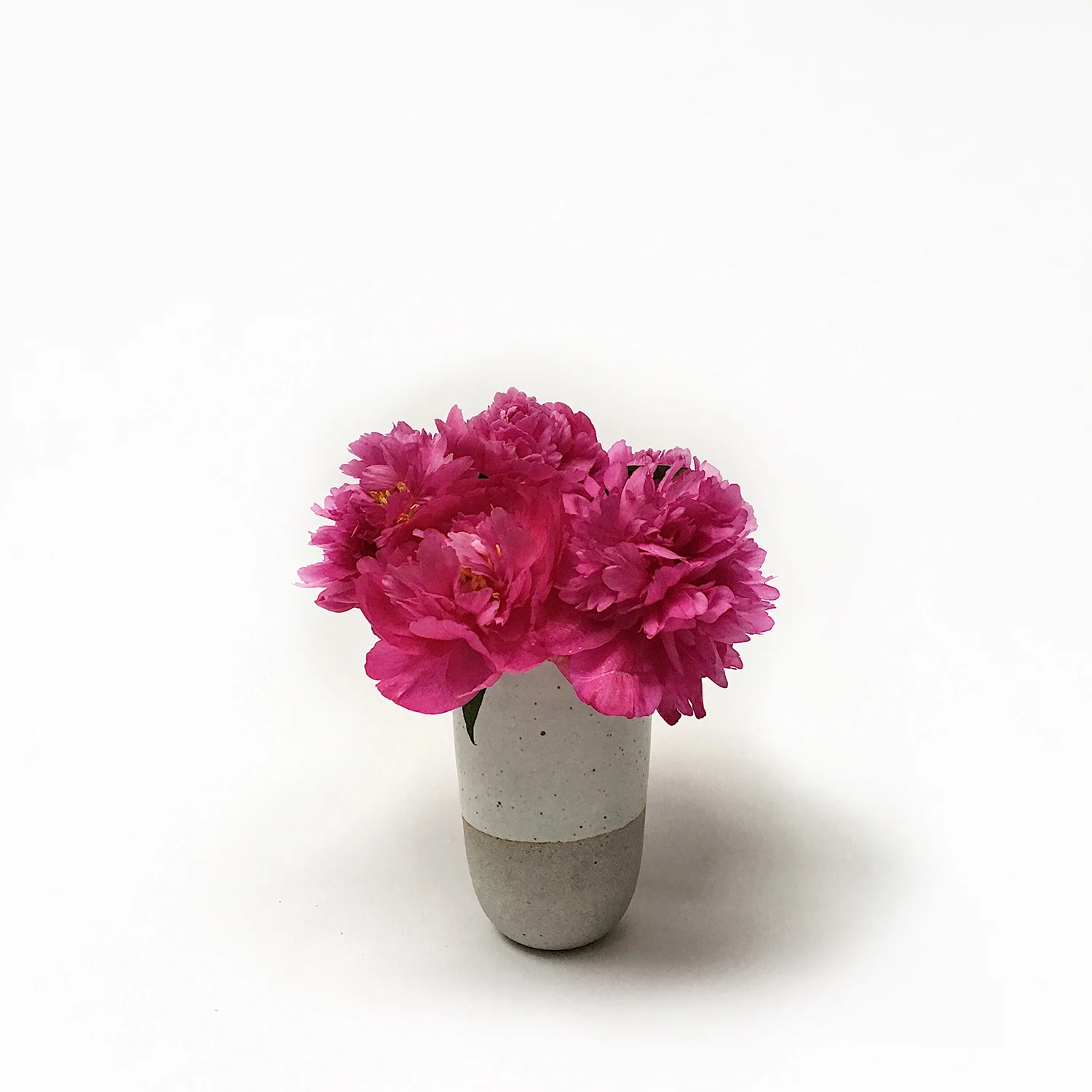 peonies_1500.jpg