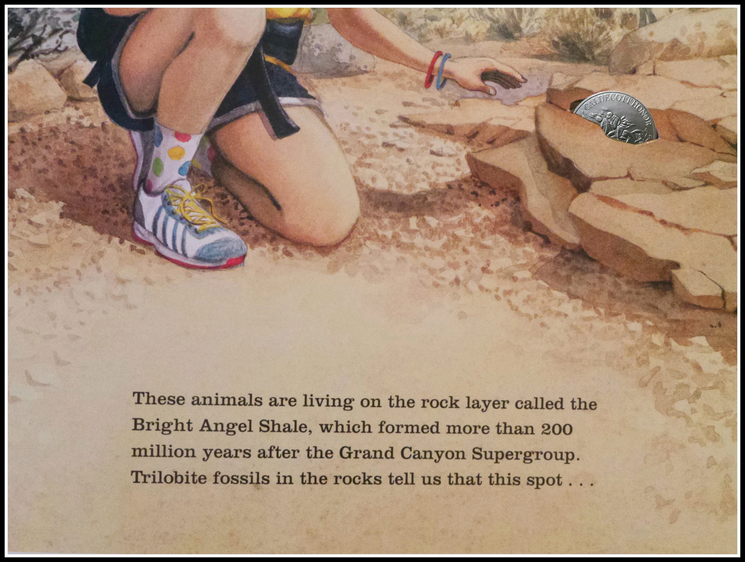 Grand Canyon Extreme Caldecott bright.jpg
