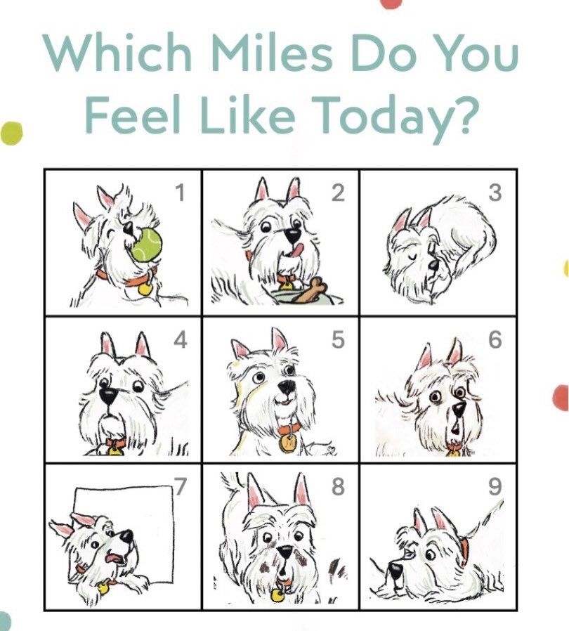 Which Miles Do YOU Feel Like Today?

Personally, I&rsquo;m feeling 7&hellip; with just a touch of 3 (still tired after the @sdbookcrawl 😉).

MILES AHEAD by me &amp; @lbontigao out NOW from @knopfyoungreaders @randomhousekids