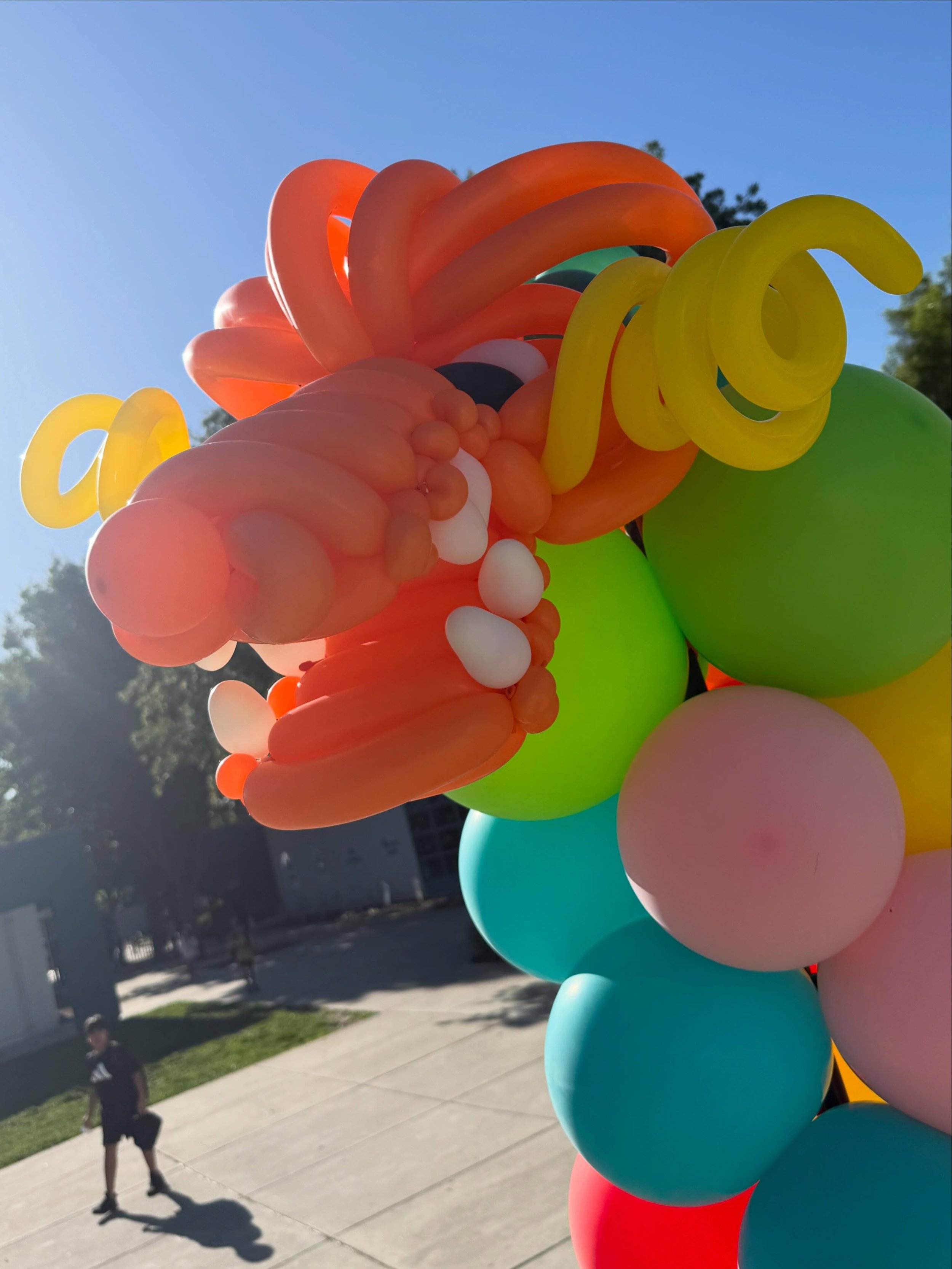 as an example of the opposite of the AI slop I posted yesterday, check out the true artistry of these balloon dragons from a recent school visit to Natomas Unified! 👏🏽 @dsantat @theauthorvillage