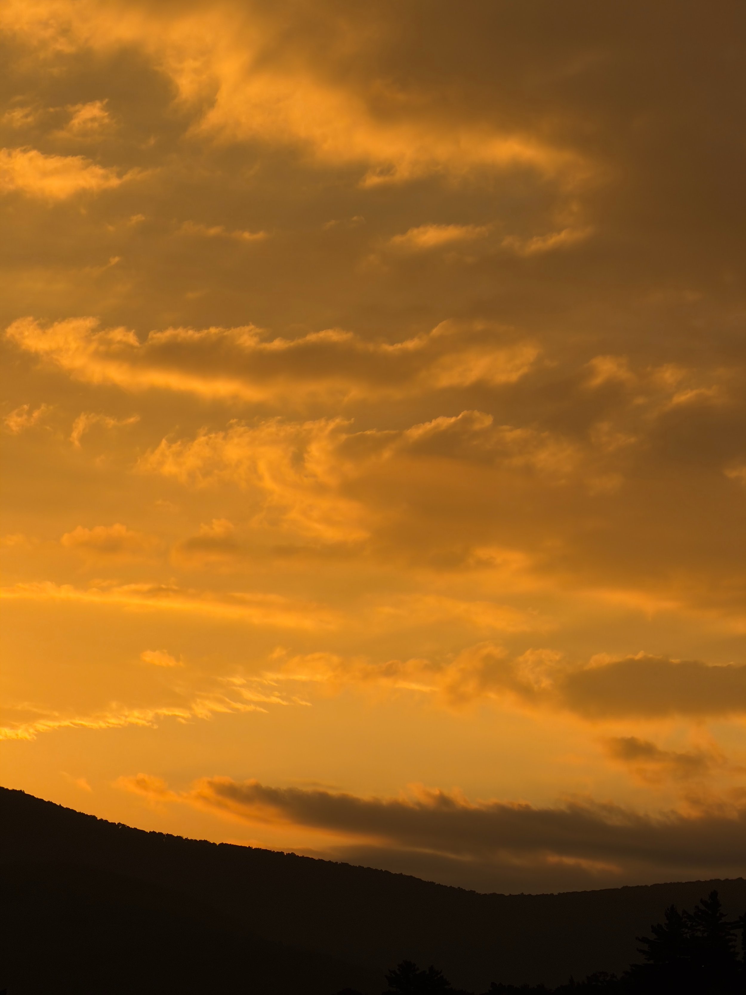 Swirls of clouds to start the day! Explore our new online shop to see more of the living natural world, captured by real people.

#sunrise #clouds #naturephotography #skylovers