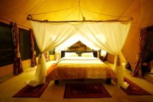 Mara Timbo Camp nighttime
