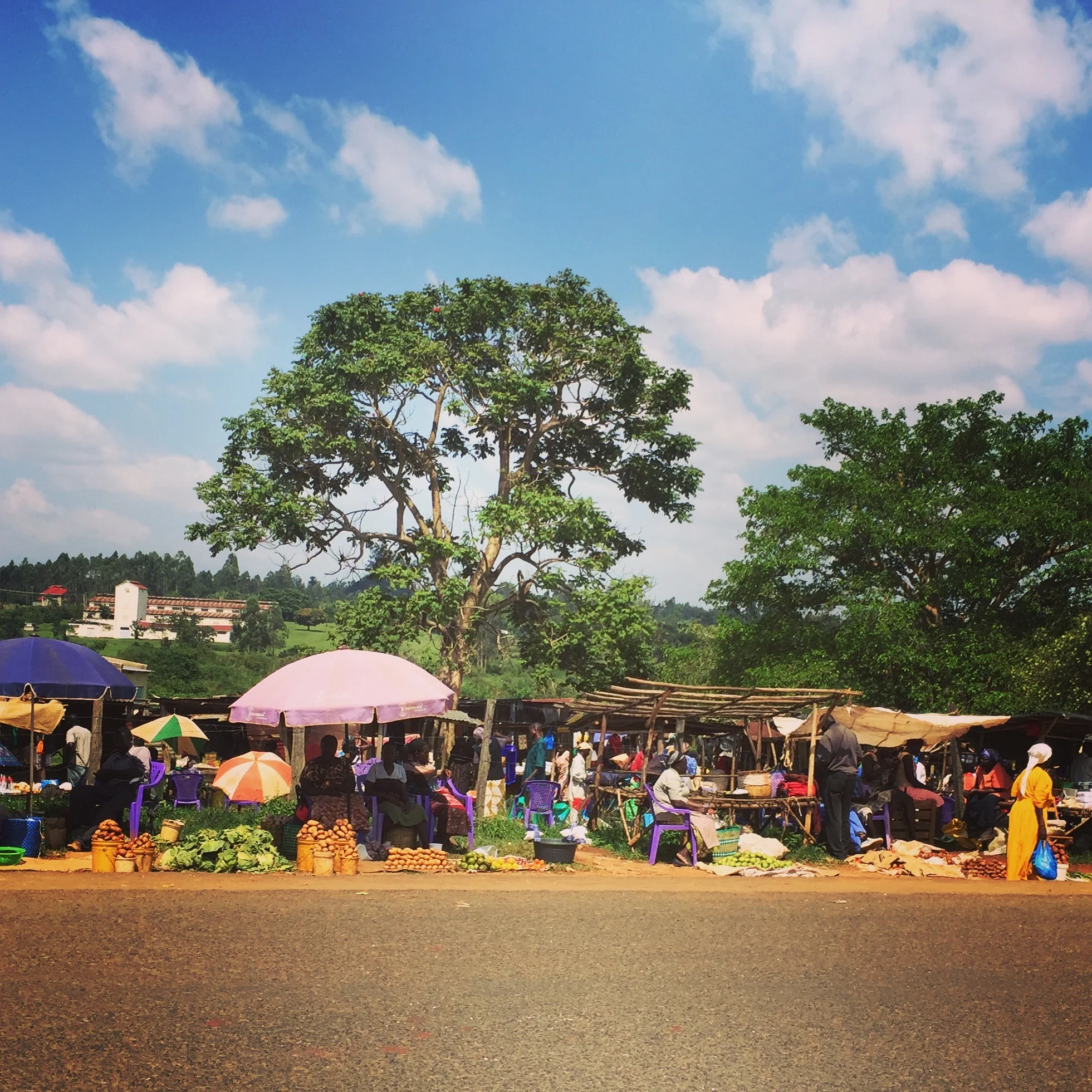  Yala Market-- A nearby local weekly market
