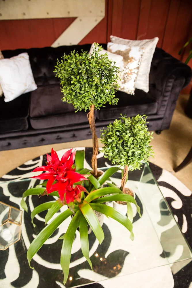 Gorgeous Greenery from Westwood Gardens!