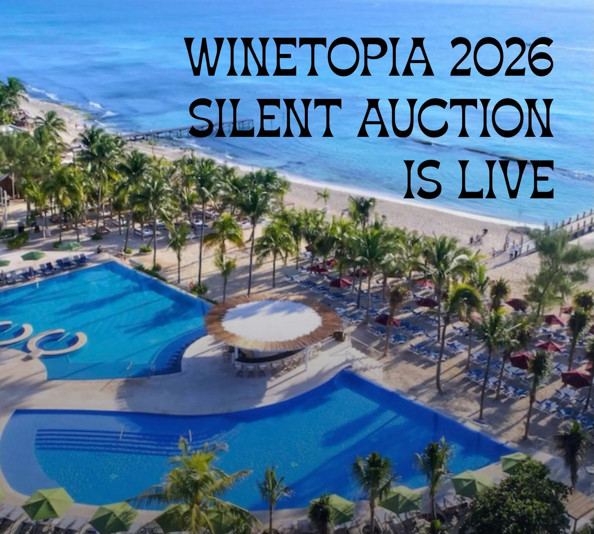 📣 Our Winetopia Silent Auction is LIVE 📣 and it is already on fire!! For those who can&rsquo;t wait for Winetopia, or are unable to attend you can bid on your favorite items now!

We have carefully curated an impressive array of incredible items an