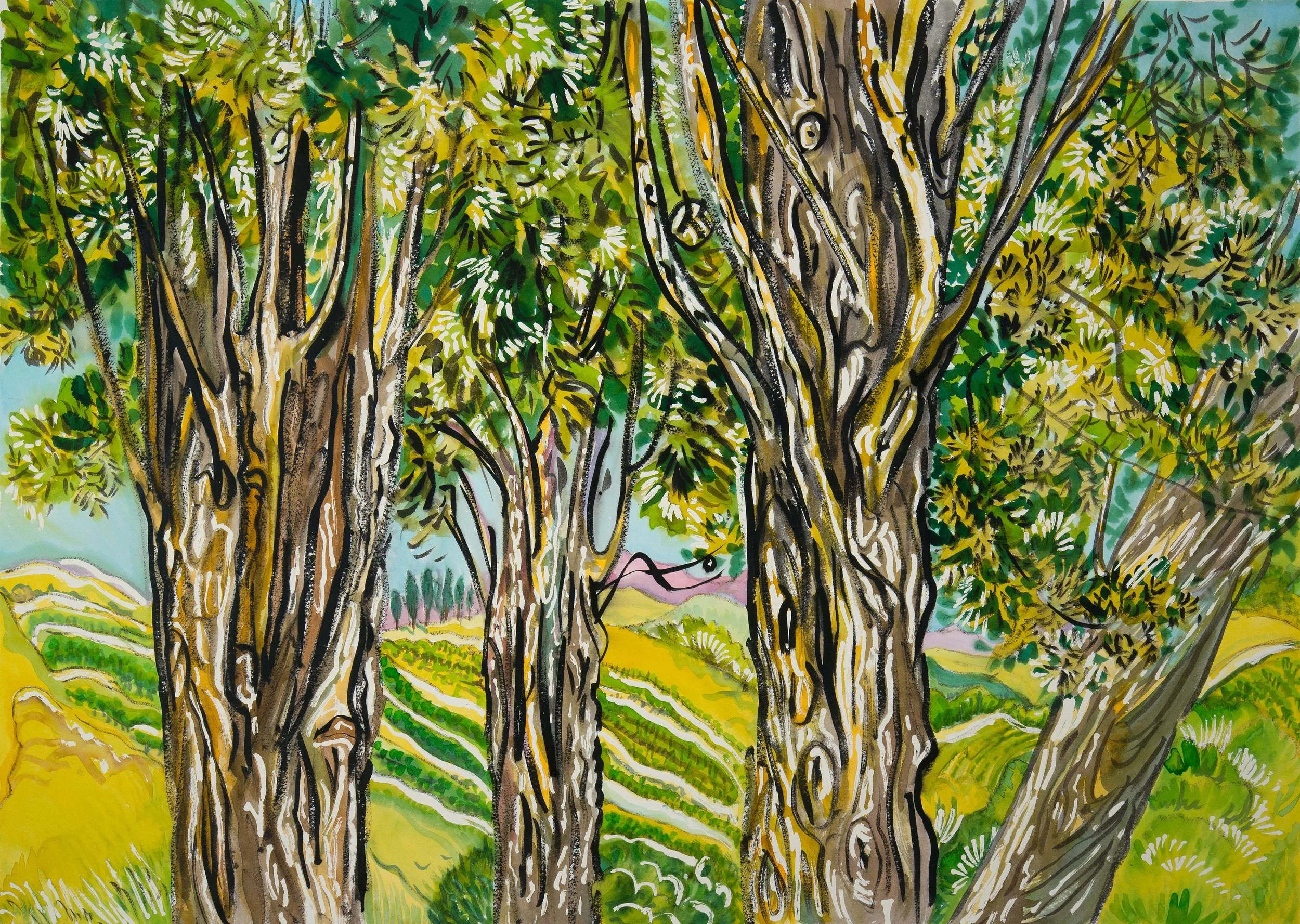 Cypress