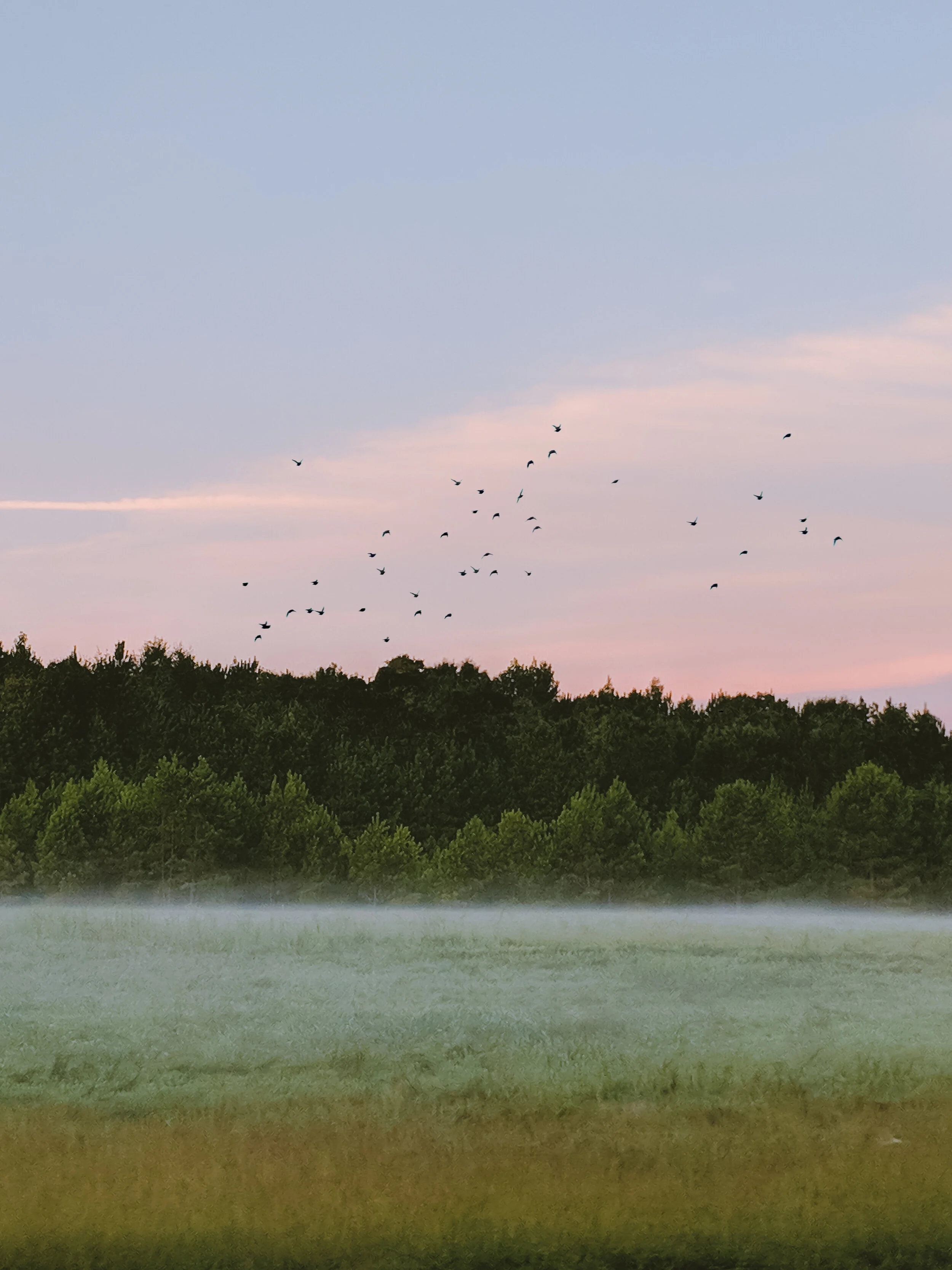 MVIMG_20180910_071341-Edit.jpg