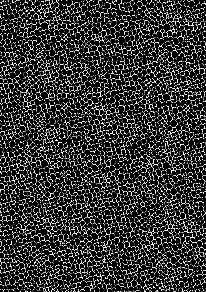 UNTITLED (Scales)