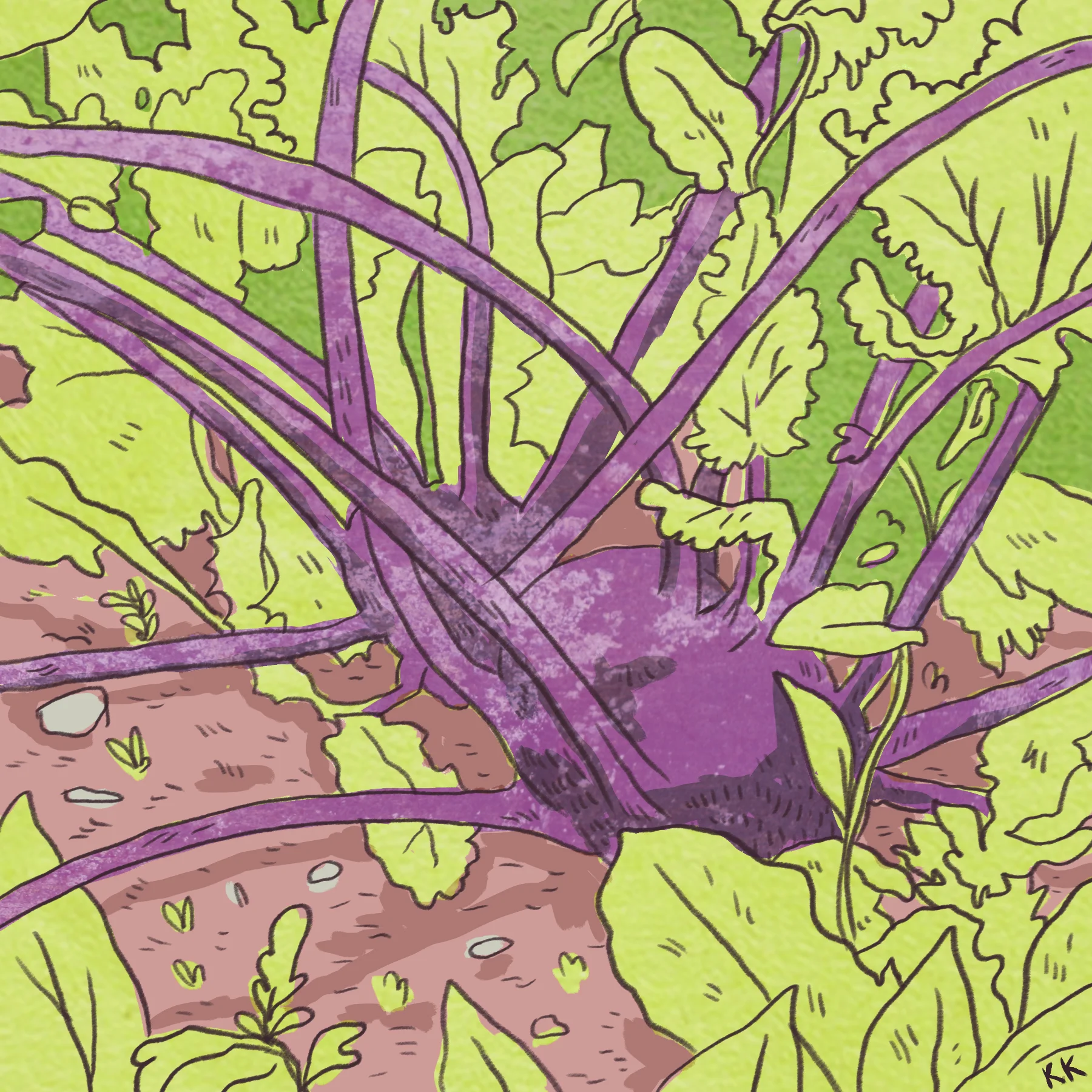 garden_1.jpg