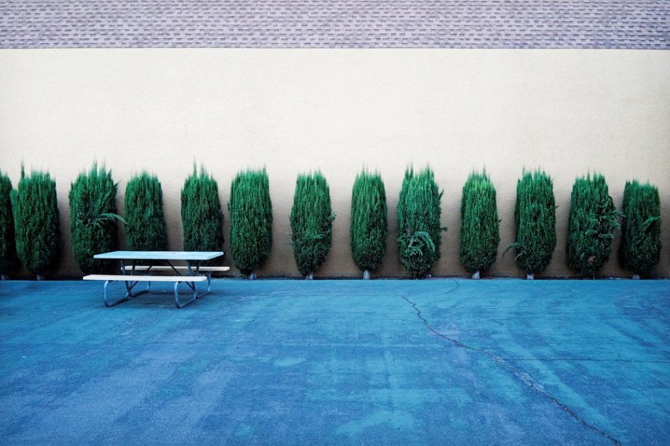 Bench and Bushes (at a School) ., 2011.