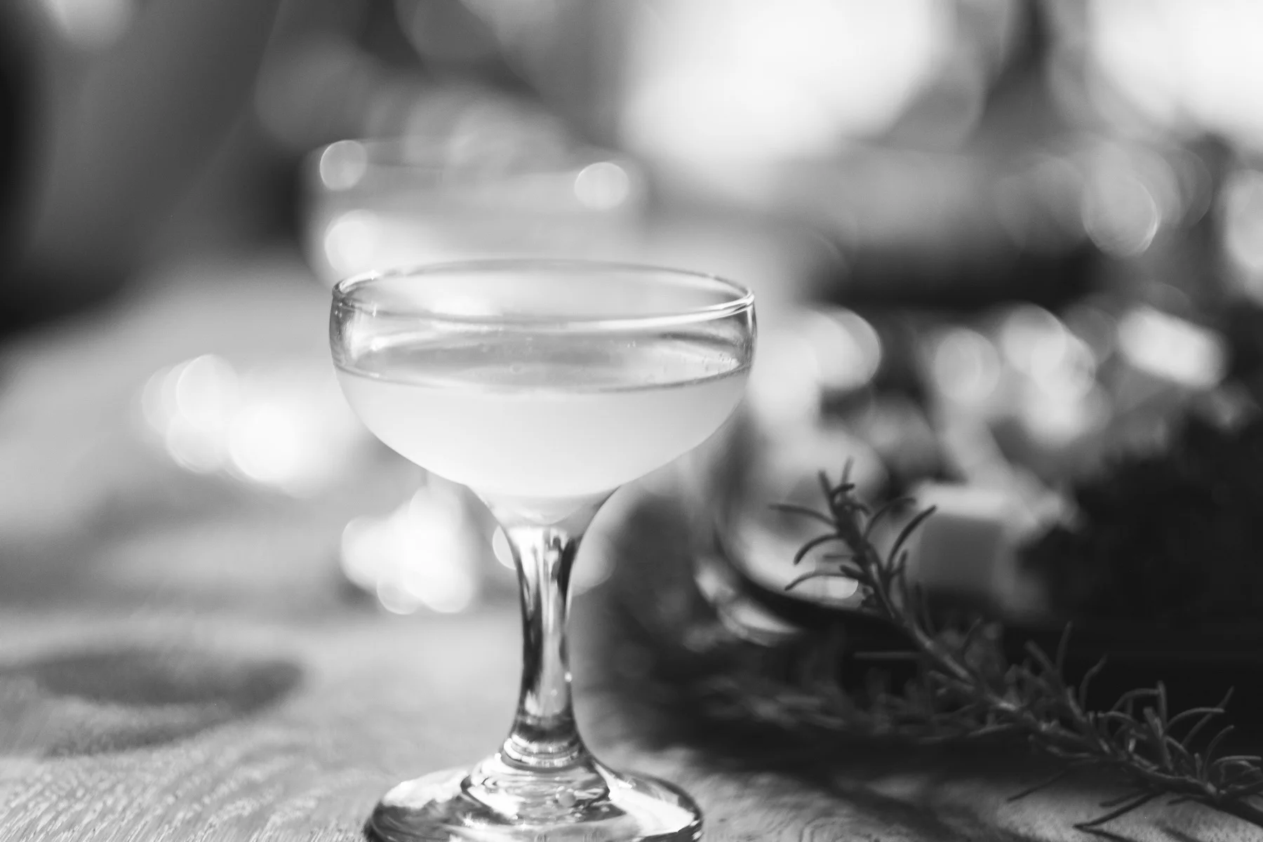 Hypothesis Cocktails B&W_March 23, 2018-12_resize.jpg