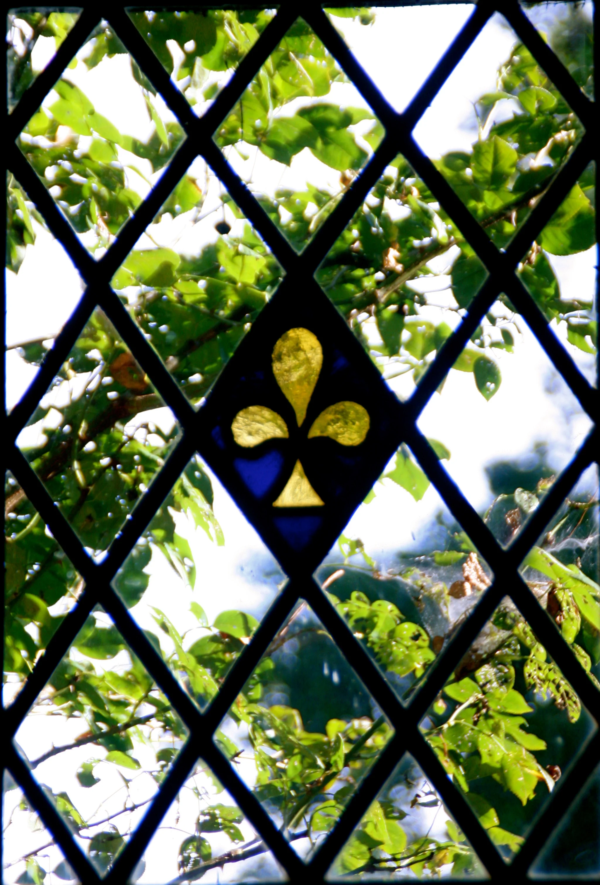 Detail library window