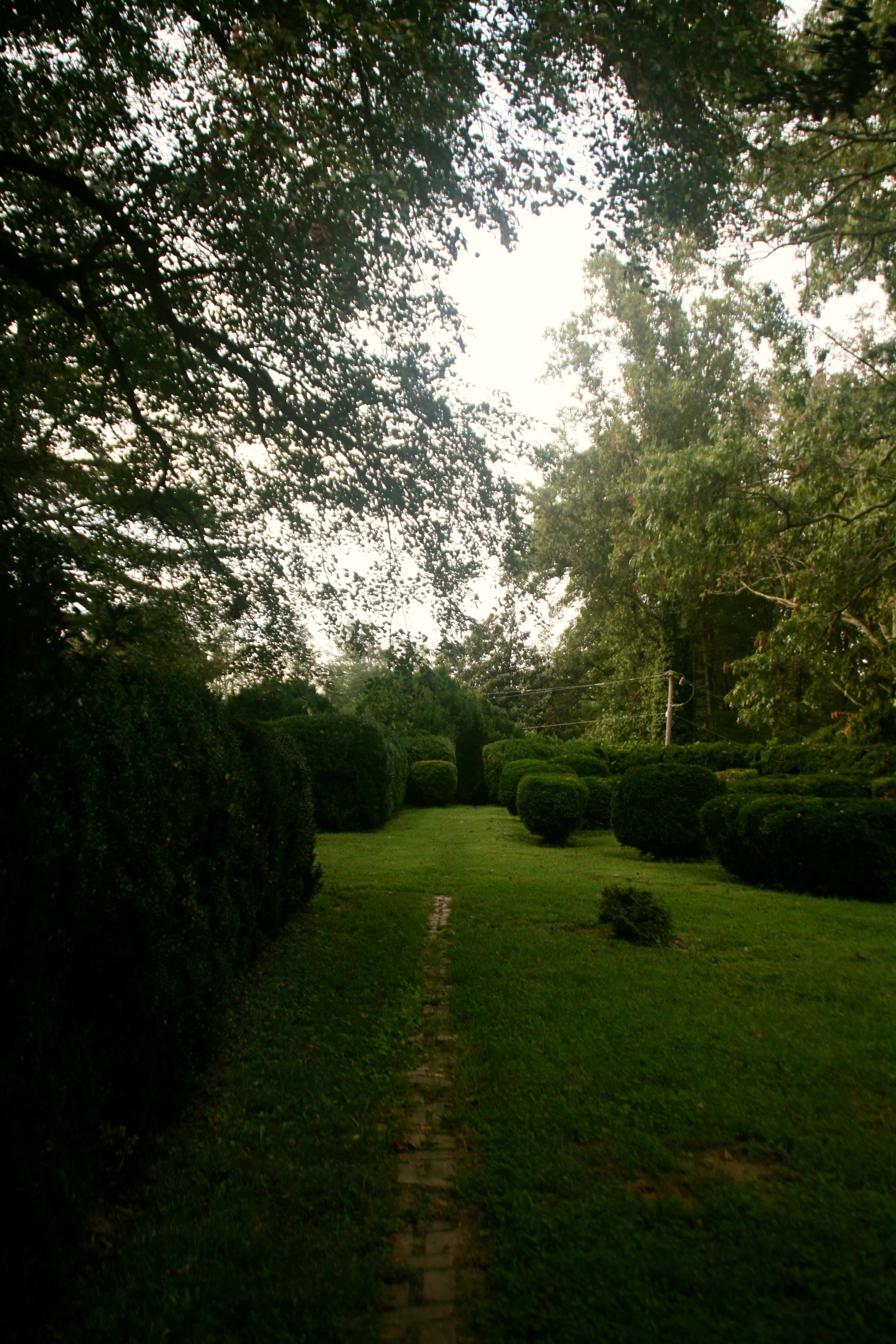 Path to the Shrine