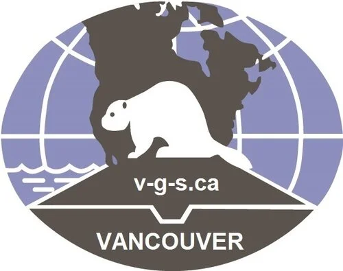 VGS Logo.jpg