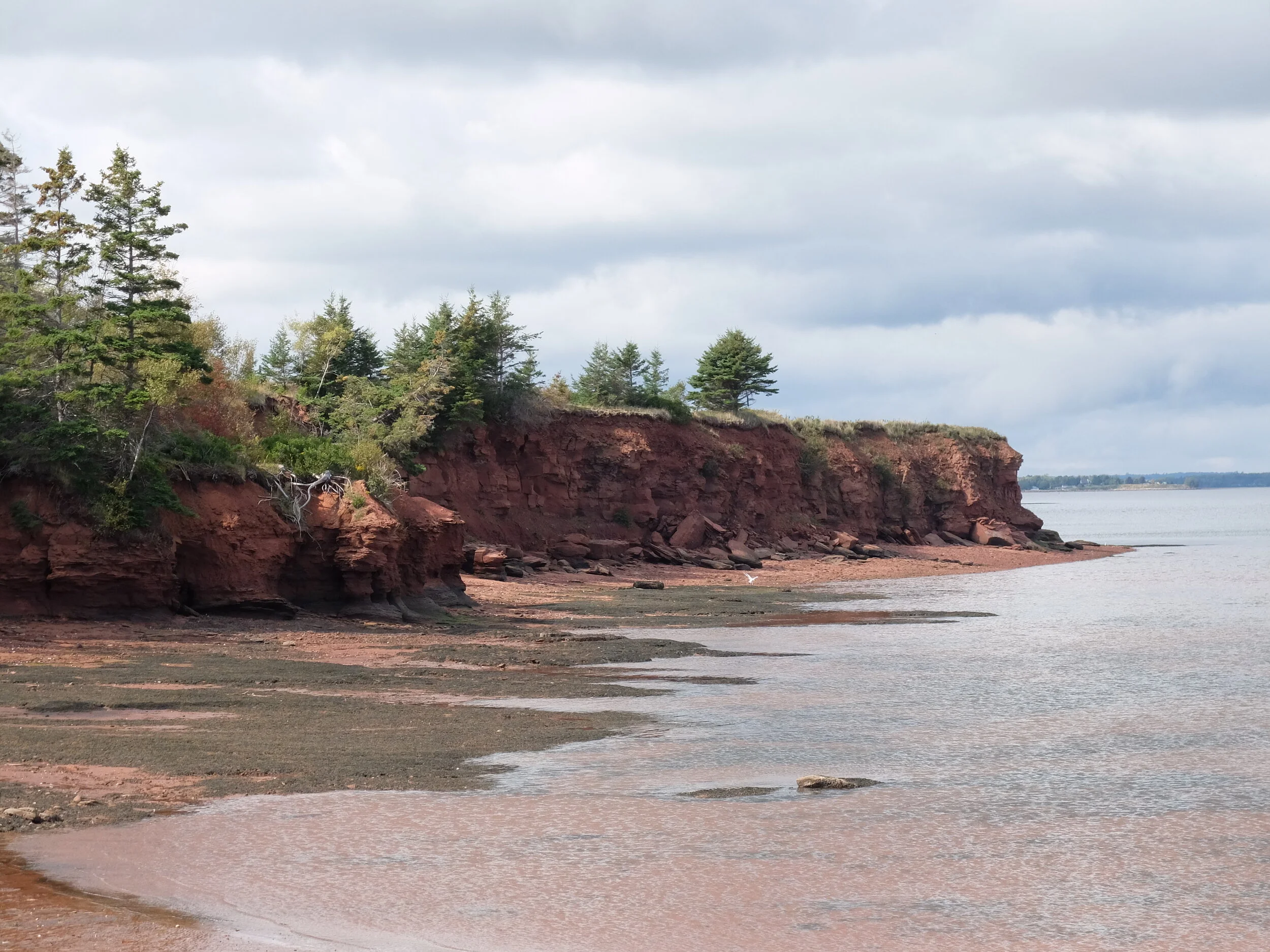 DSCF6871.JPG