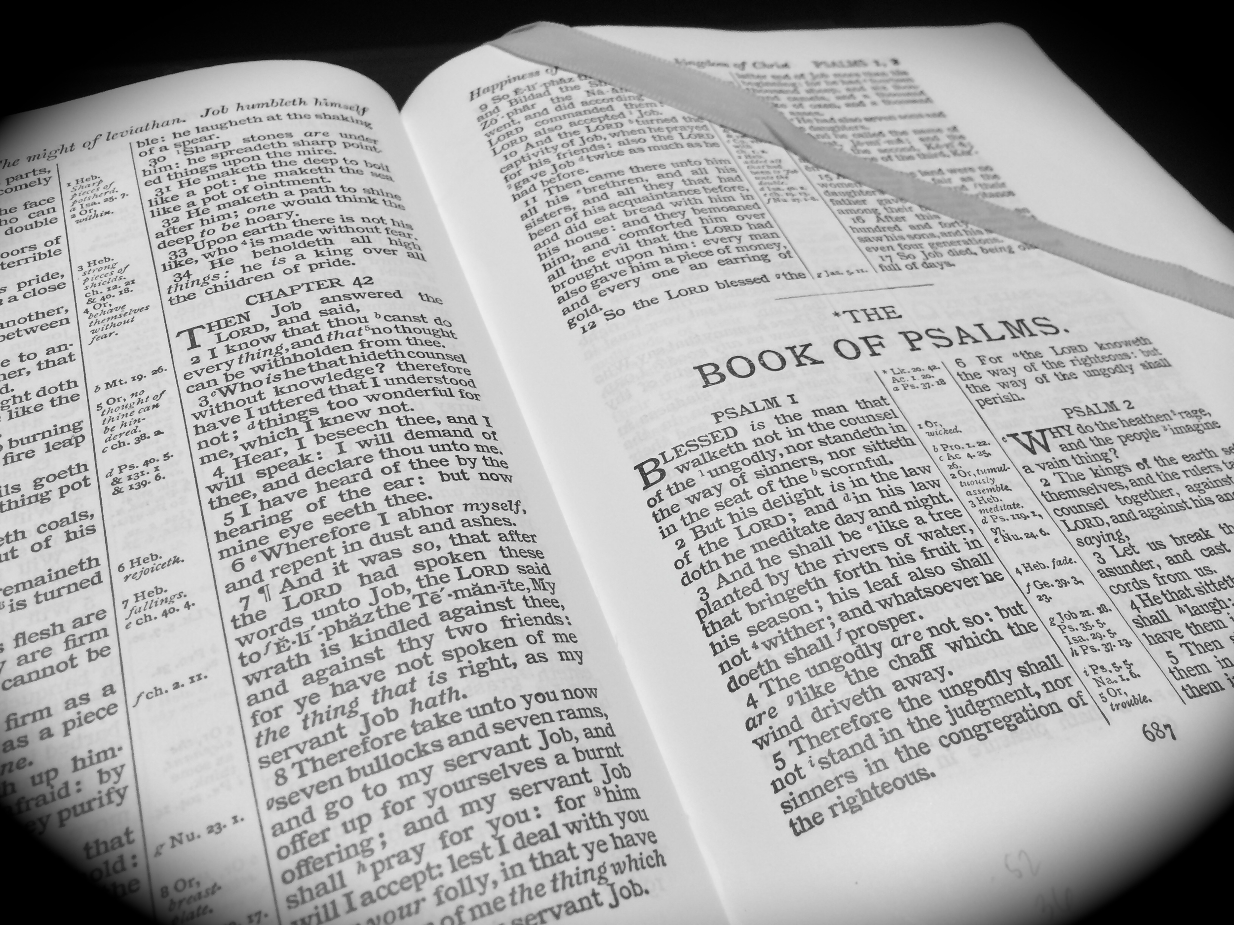 IMG_5964 - Version 2.JPG