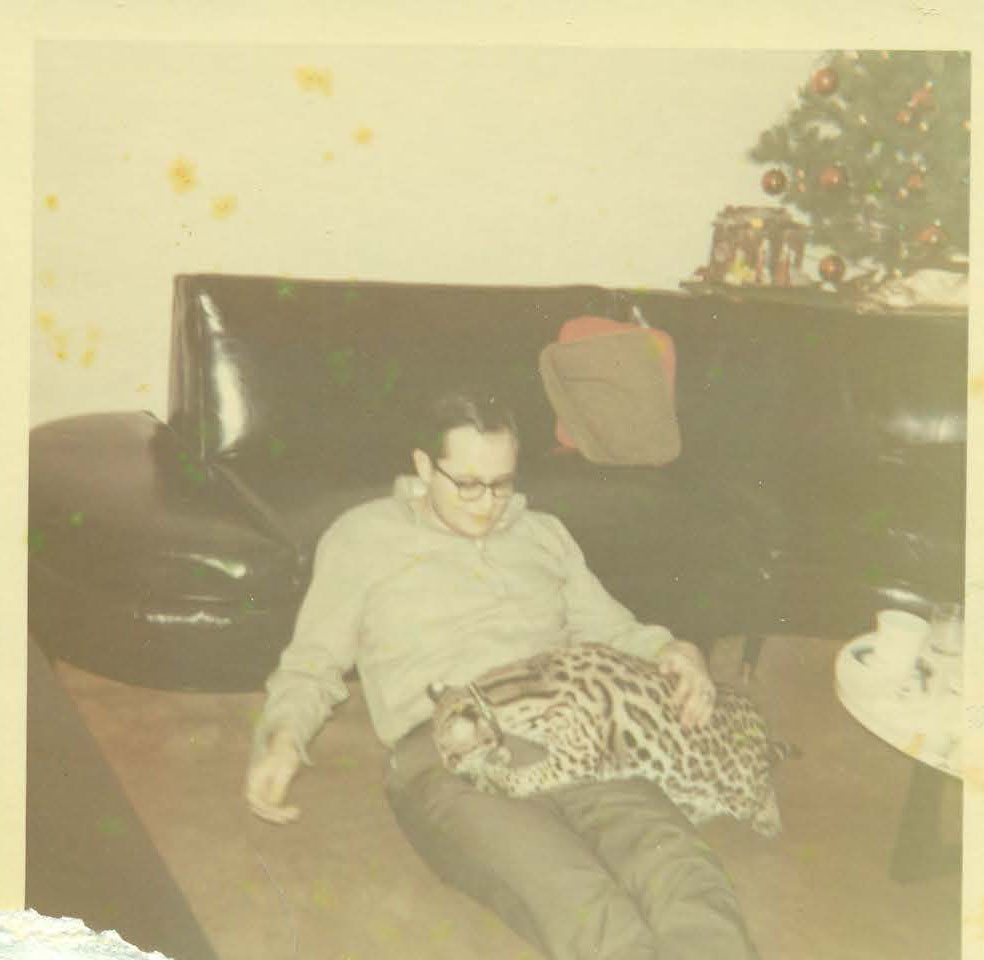 Dad_kitty.jpg