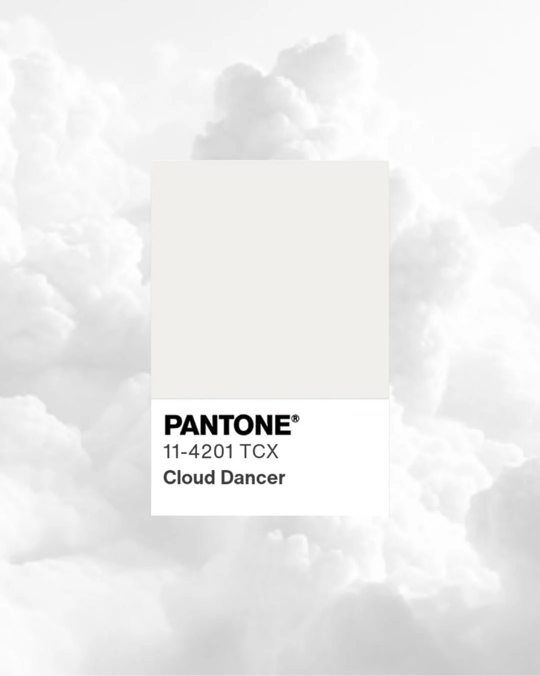 When your outfit feels like a breathe of fresh air ✨

Swipe to see the fresh and airy styles we have at Bonnie Atalas Showroom, inspired by Pantones color of the year, &ldquo;Cloud Dancer&rdquo; ☁️✨

#clouddancer #fashion #showroom #clothing #chicago