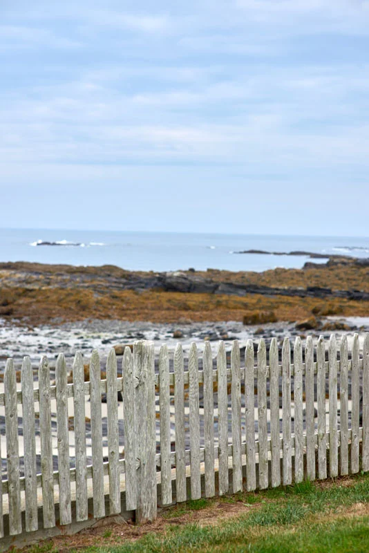 DSC_4824.jpg