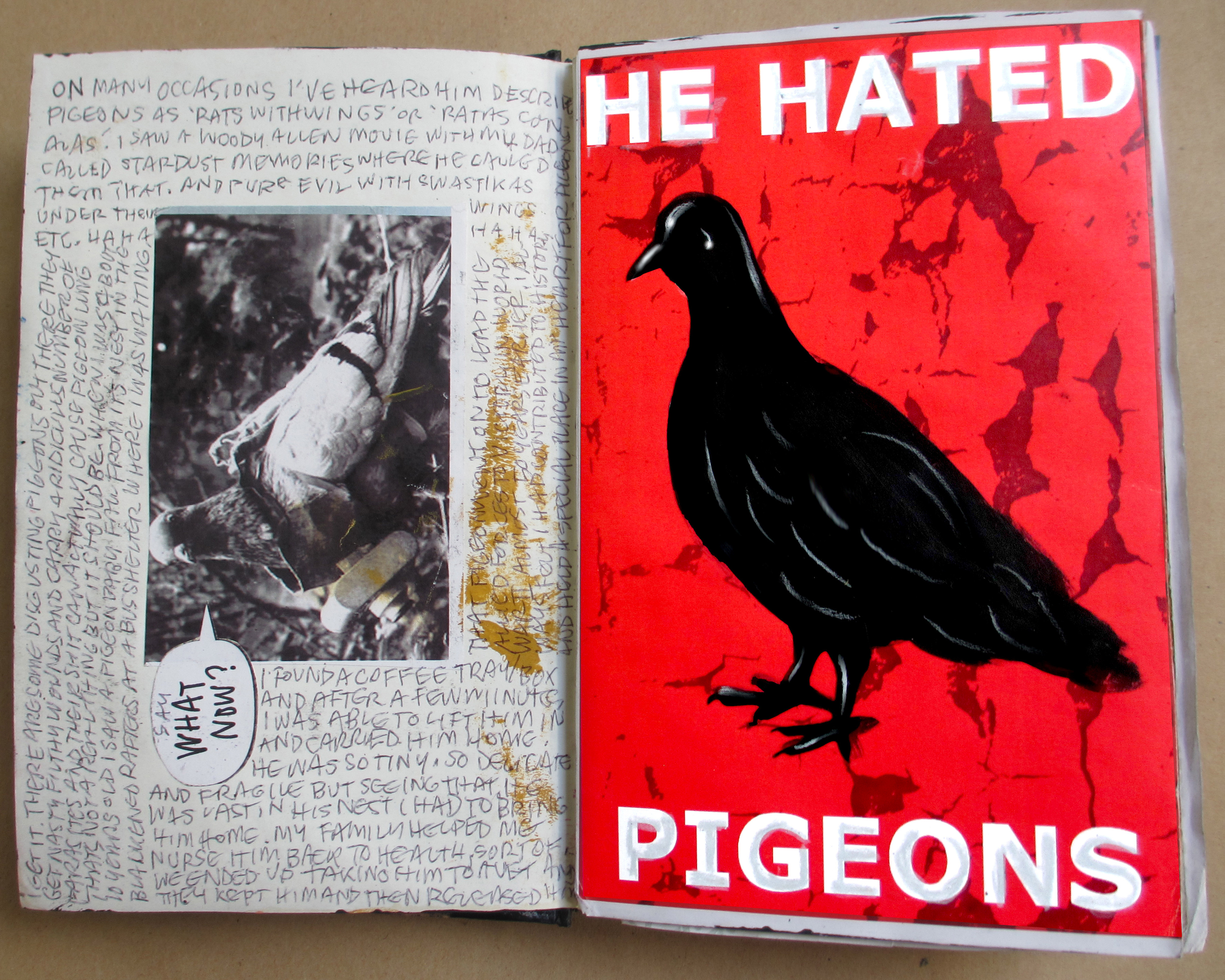 'He Hated Pigeons' 2015