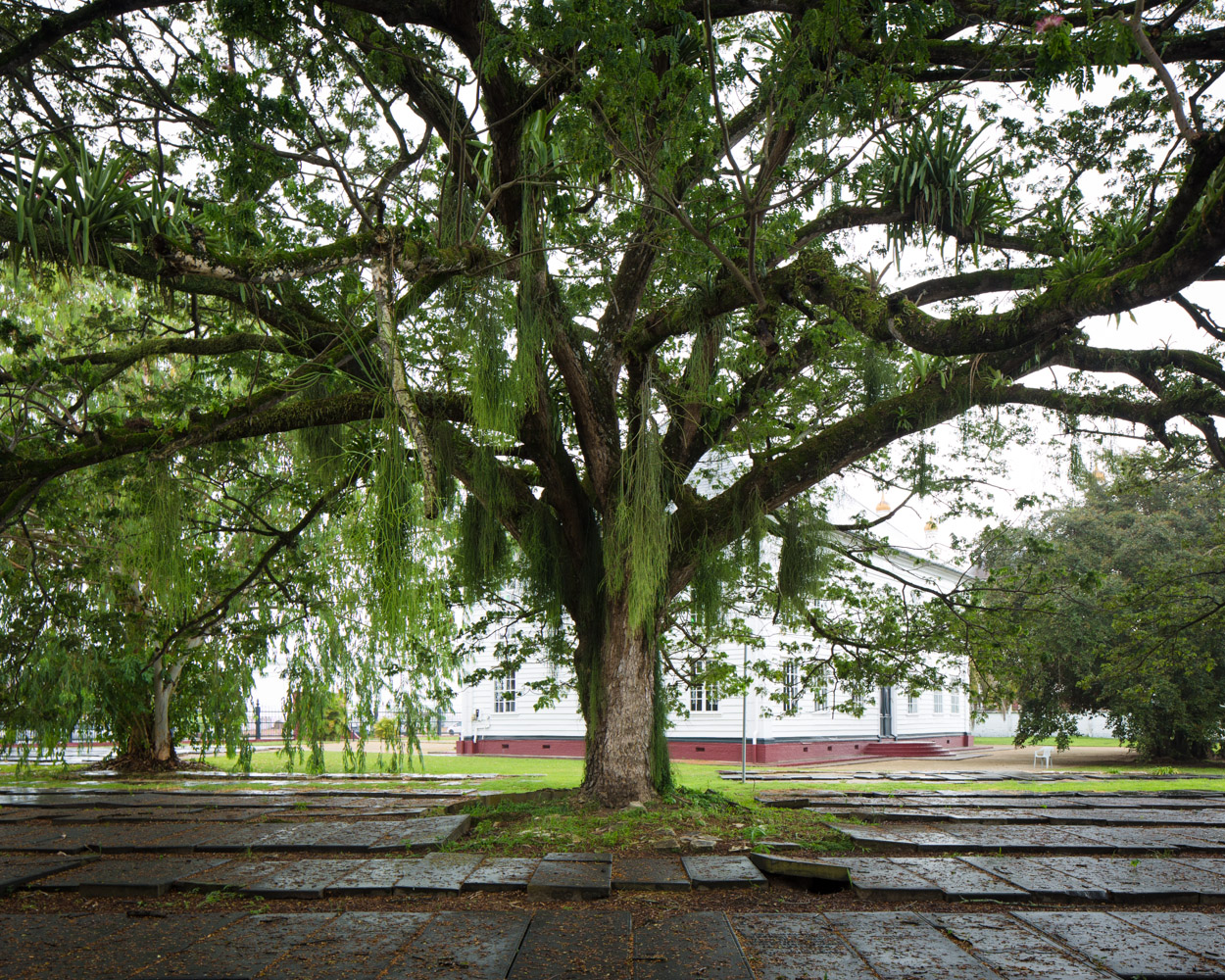 Relocated Sephardic Gravestones