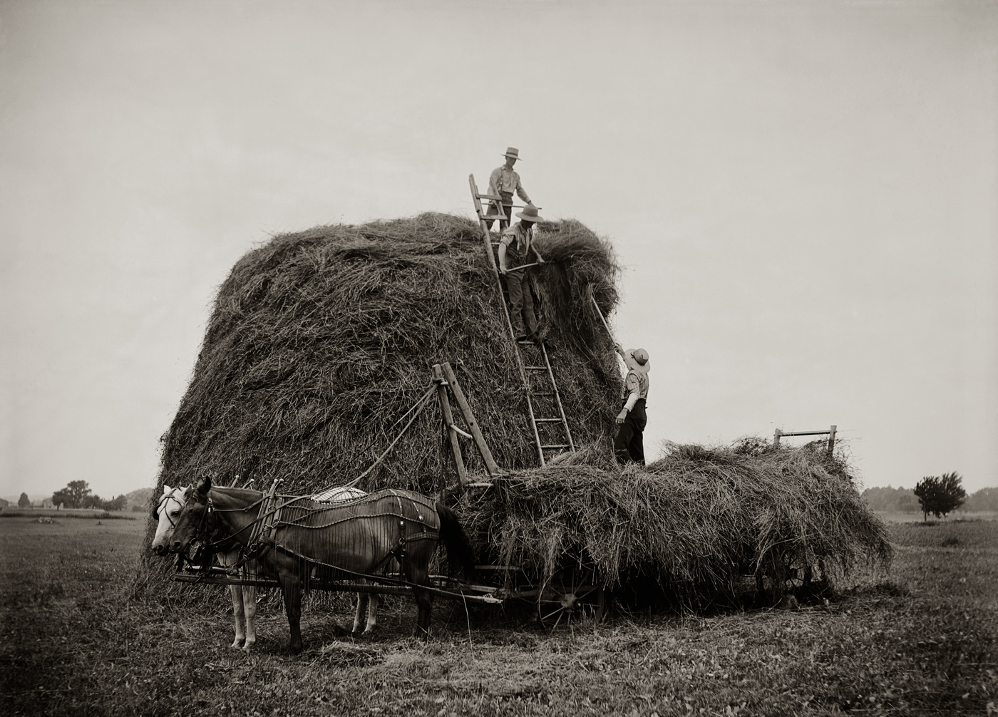 Verne Morton_Haystack.jpg