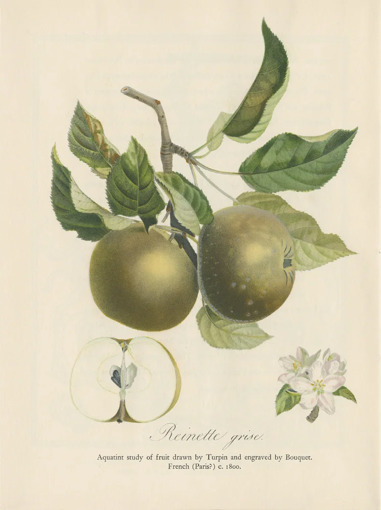 Full-Tone Collotype by the Meriden Gravure Company