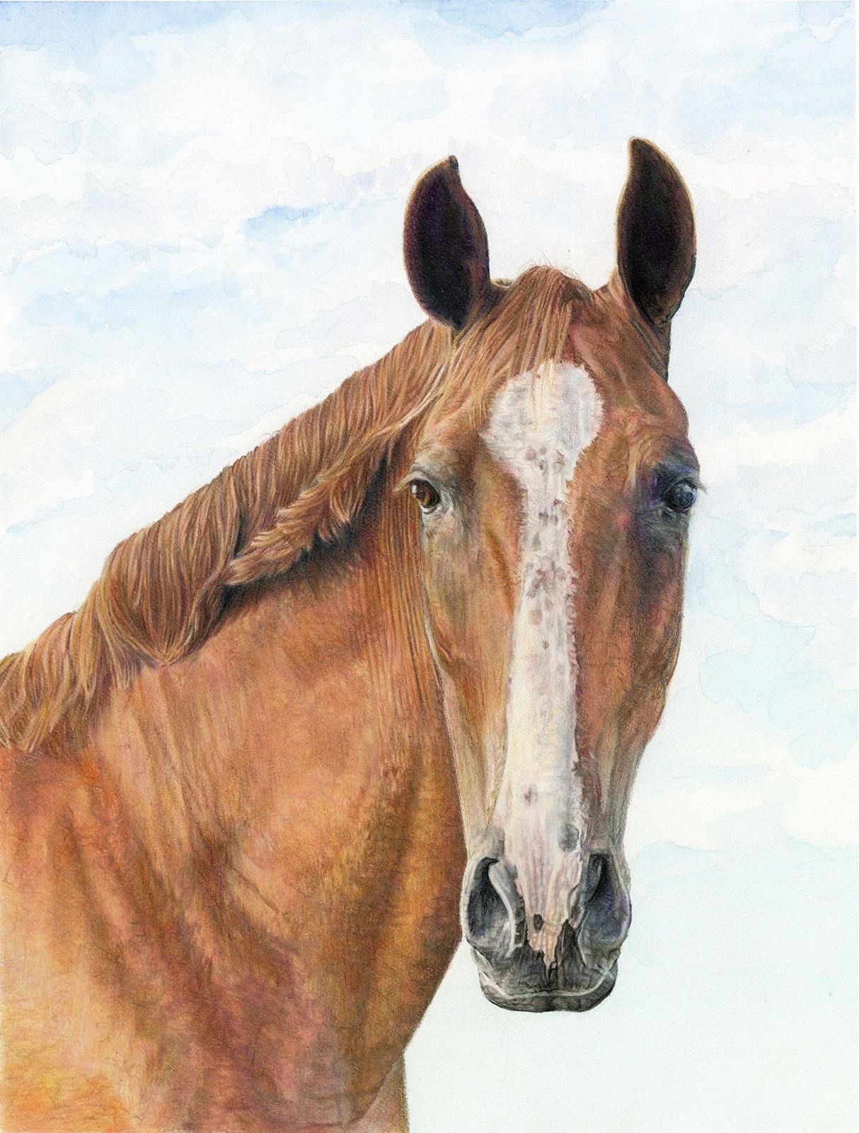 April Repotski_Reno_Andalusian Horse.jpg