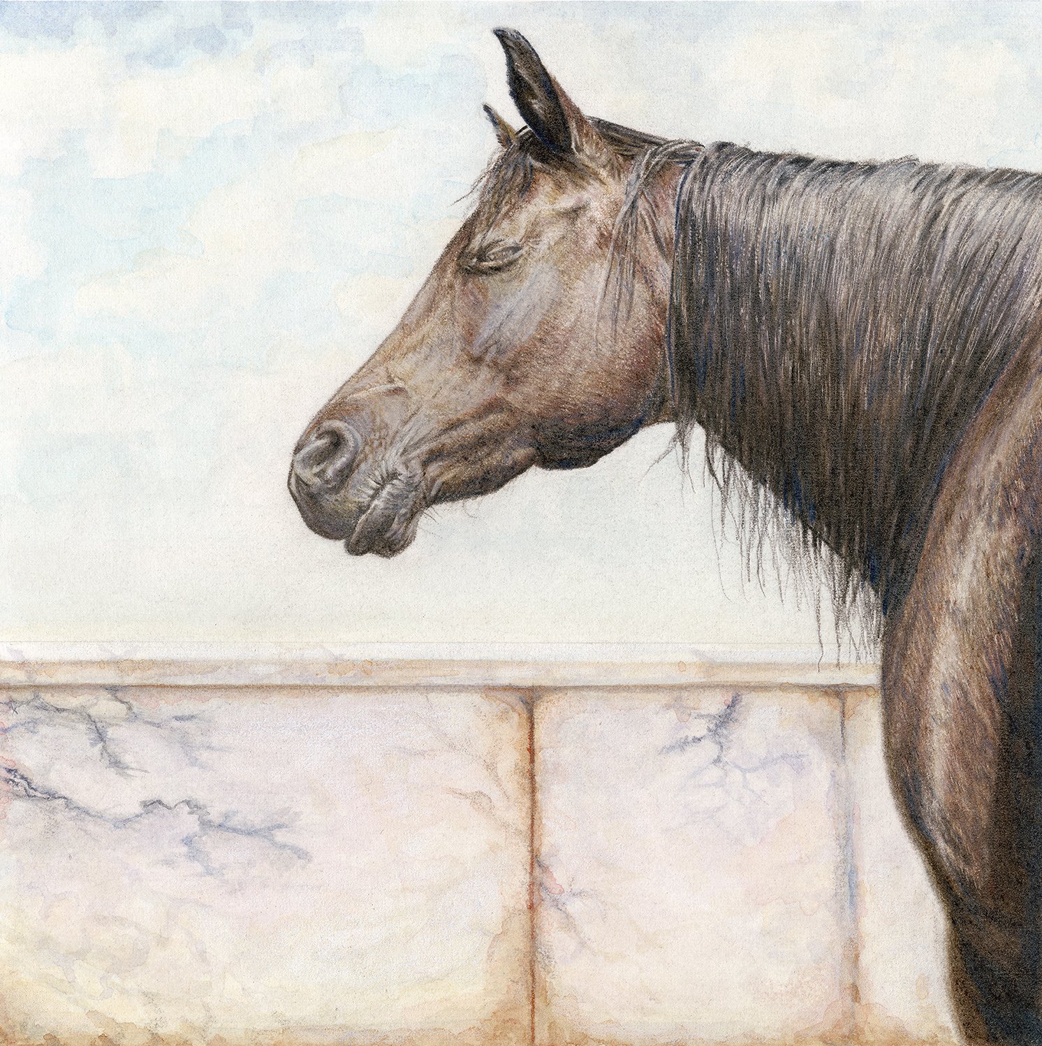 April Repotski_Shahara_Dark Arabian Mare_drawing_horse art.jpg