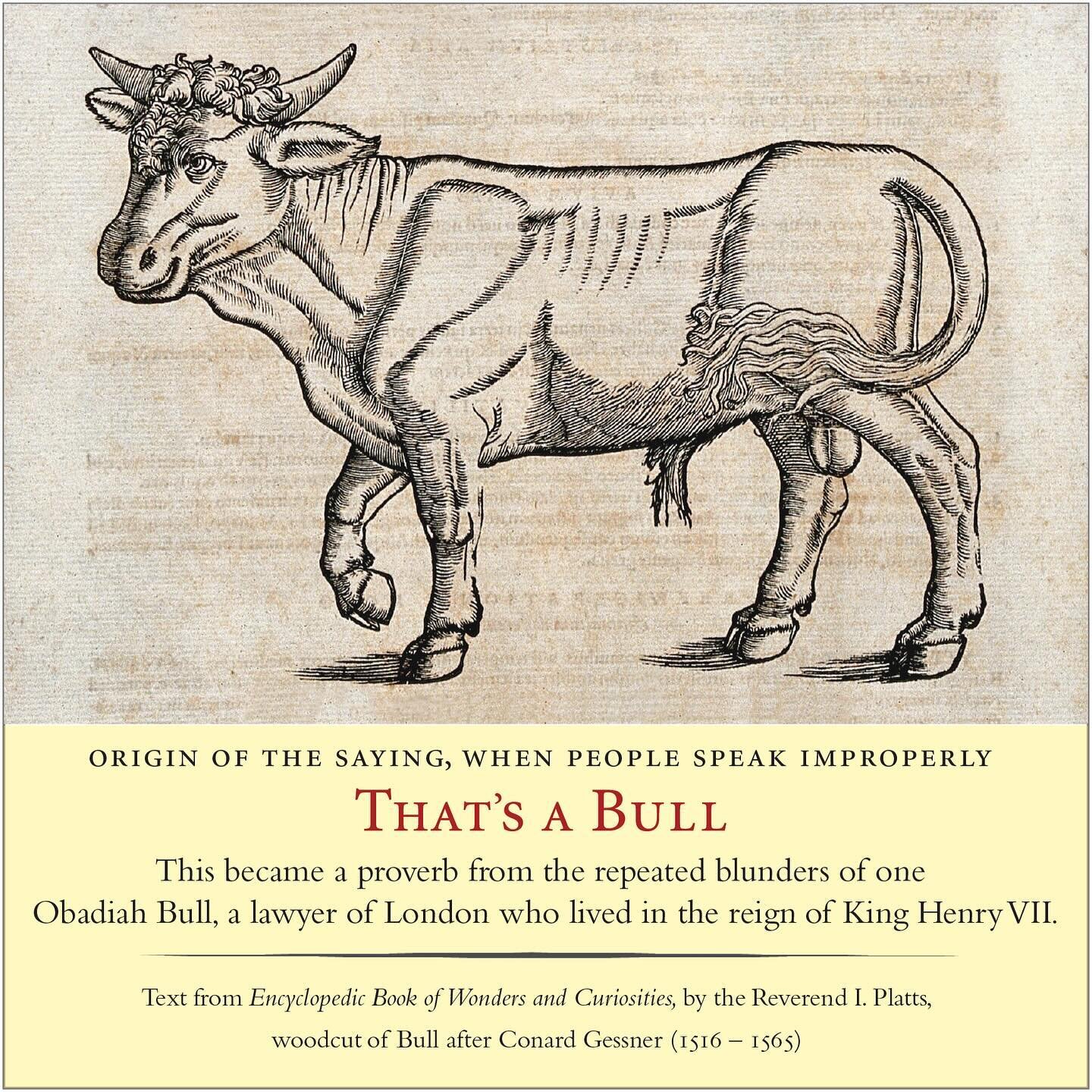 #pharse #idiom #slang #proverb #bull #obadiahbull #kinghenryVII #eyclopediaofwondersandcuriosities #reverendplatts #woodcut #letterpress #conardgessner #sixteenthcentury #england #broadside