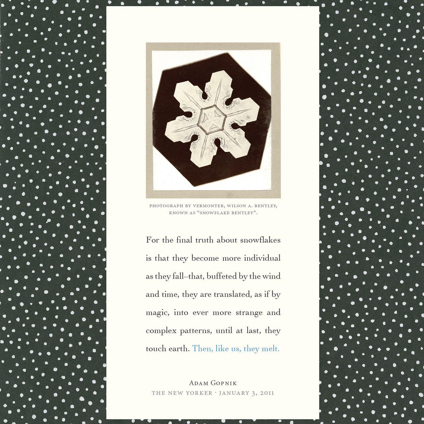 The first snow of the season has finally fallen in South Lunenburg and I am reminded of Vermonter Wilson Alwyn Bentley, known as &ldquo;Snowflake&rdquo; Bentley, one of the first known photographers of snowflakes. He was born on February 7, 1865, in 