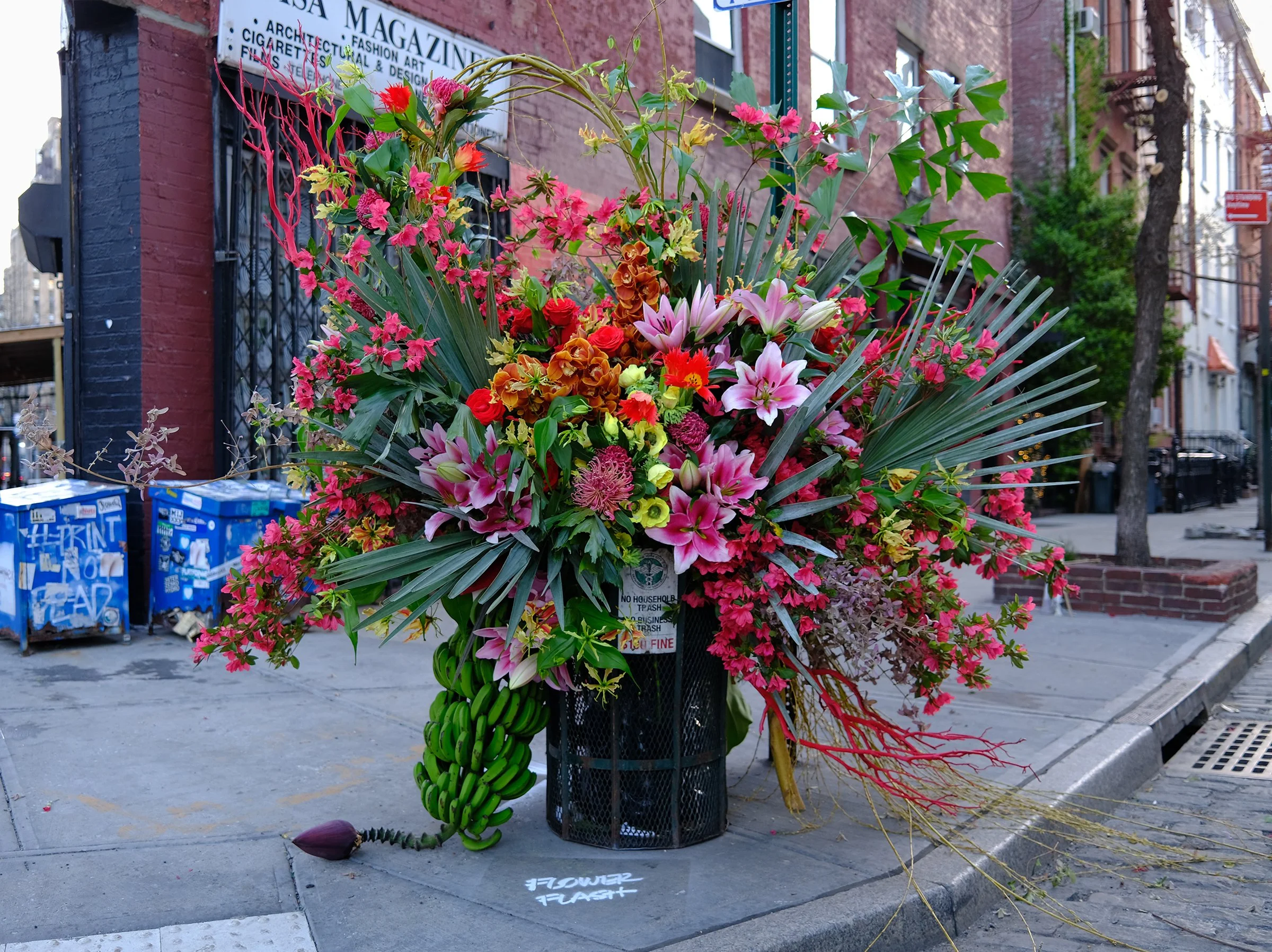 Flower Flash_Lewis Miller_ Irini Arakas Greenbaum_NYC.jpg