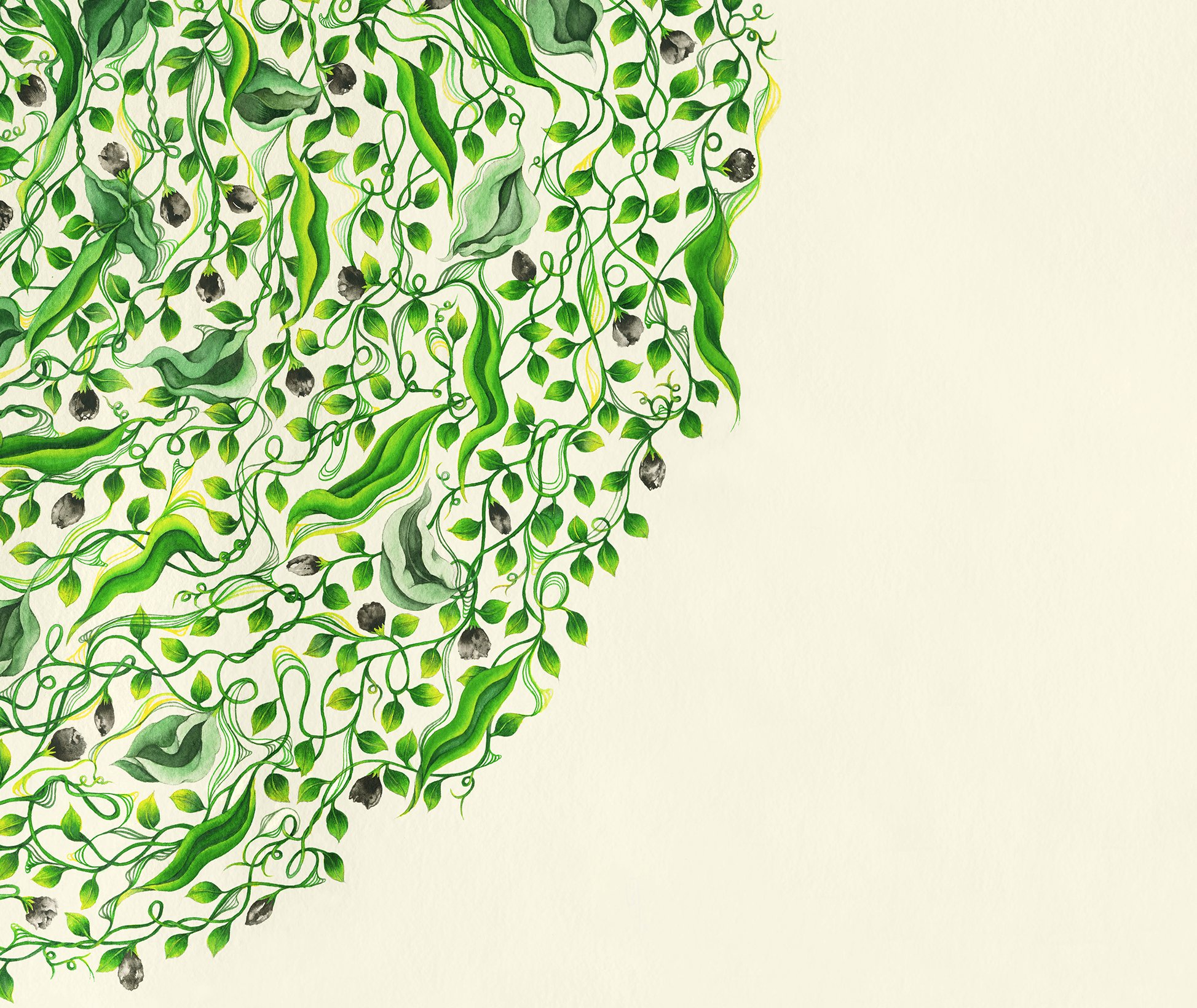 Detail of Vine by Yuri Shimojo