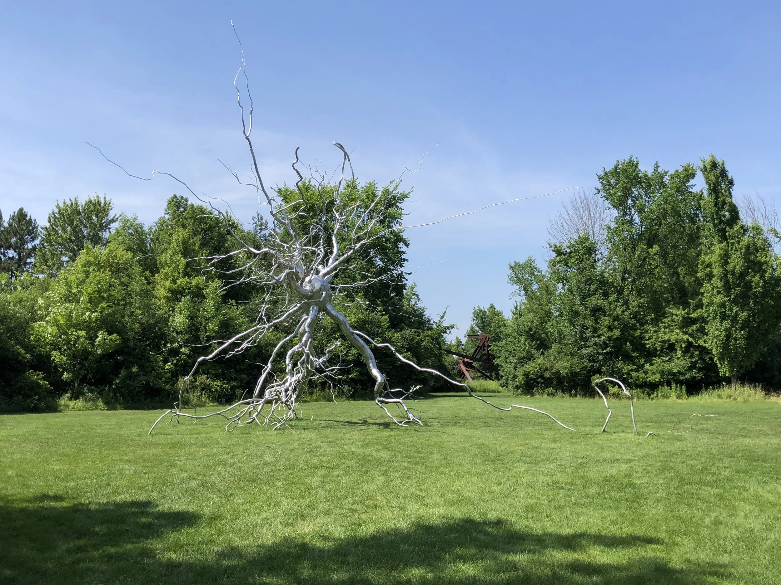 Roxy Paine