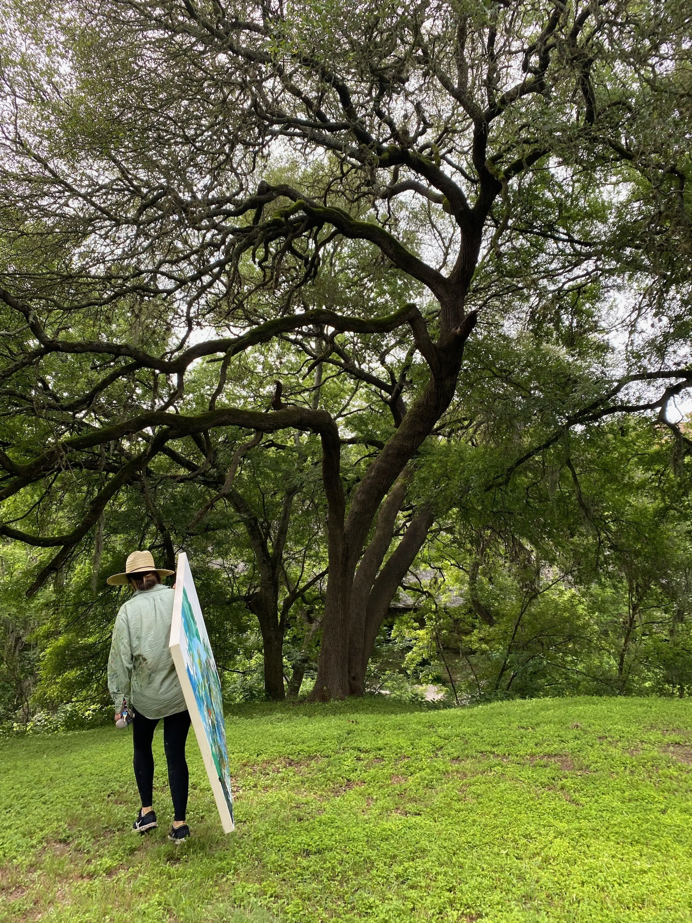 infinity tree service dallas texas on Arnoult Fine Art Consulting News