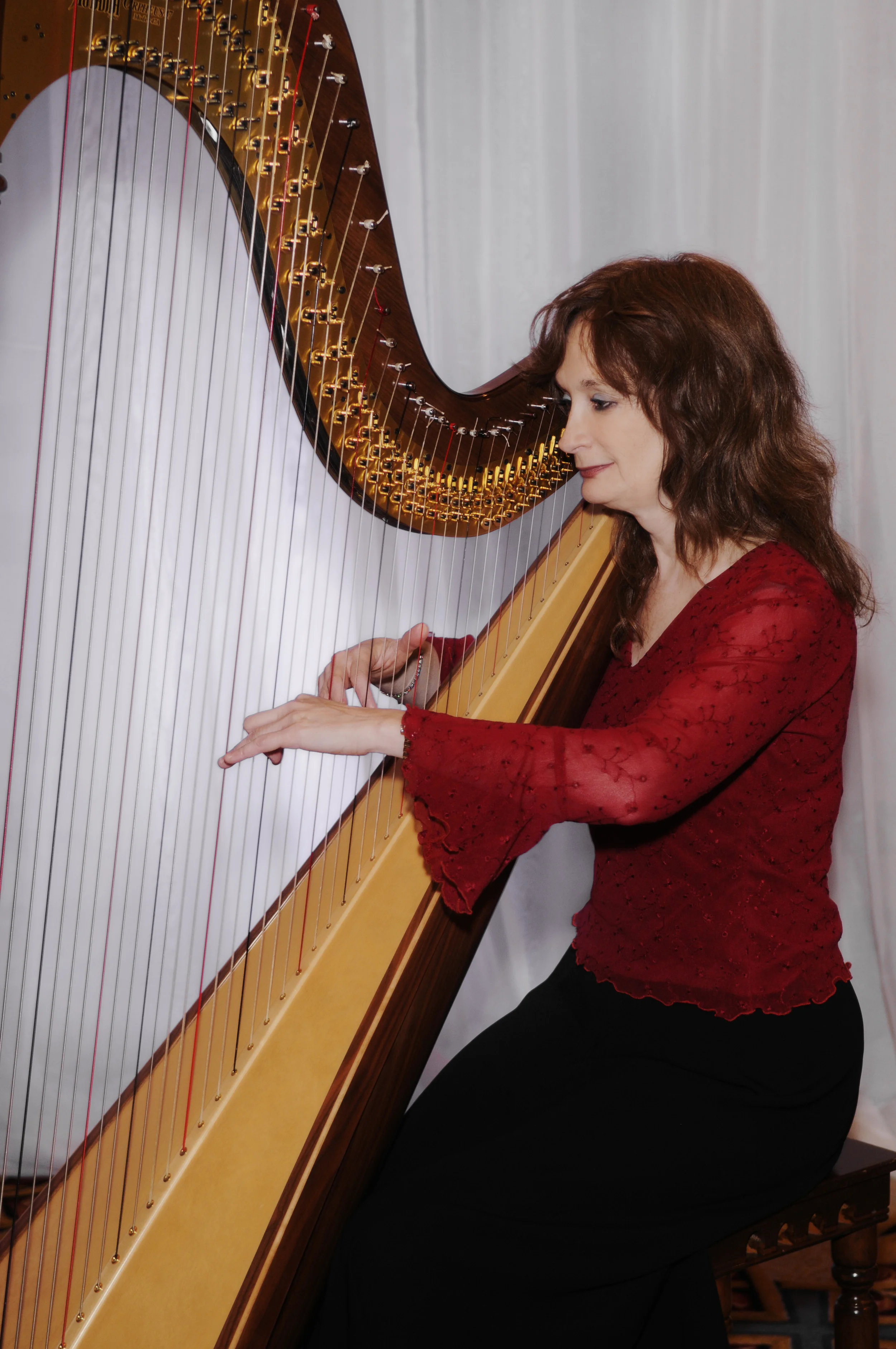 Erica Schultz at the harp
