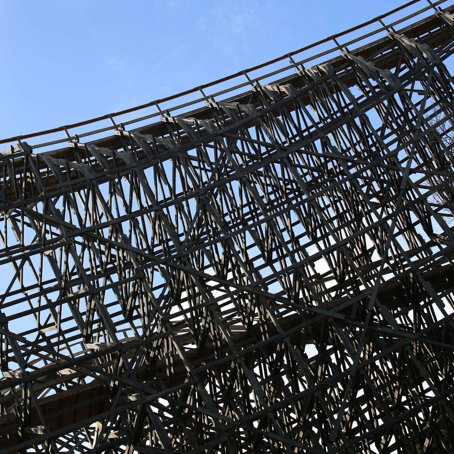 Wooden Roller Coaster