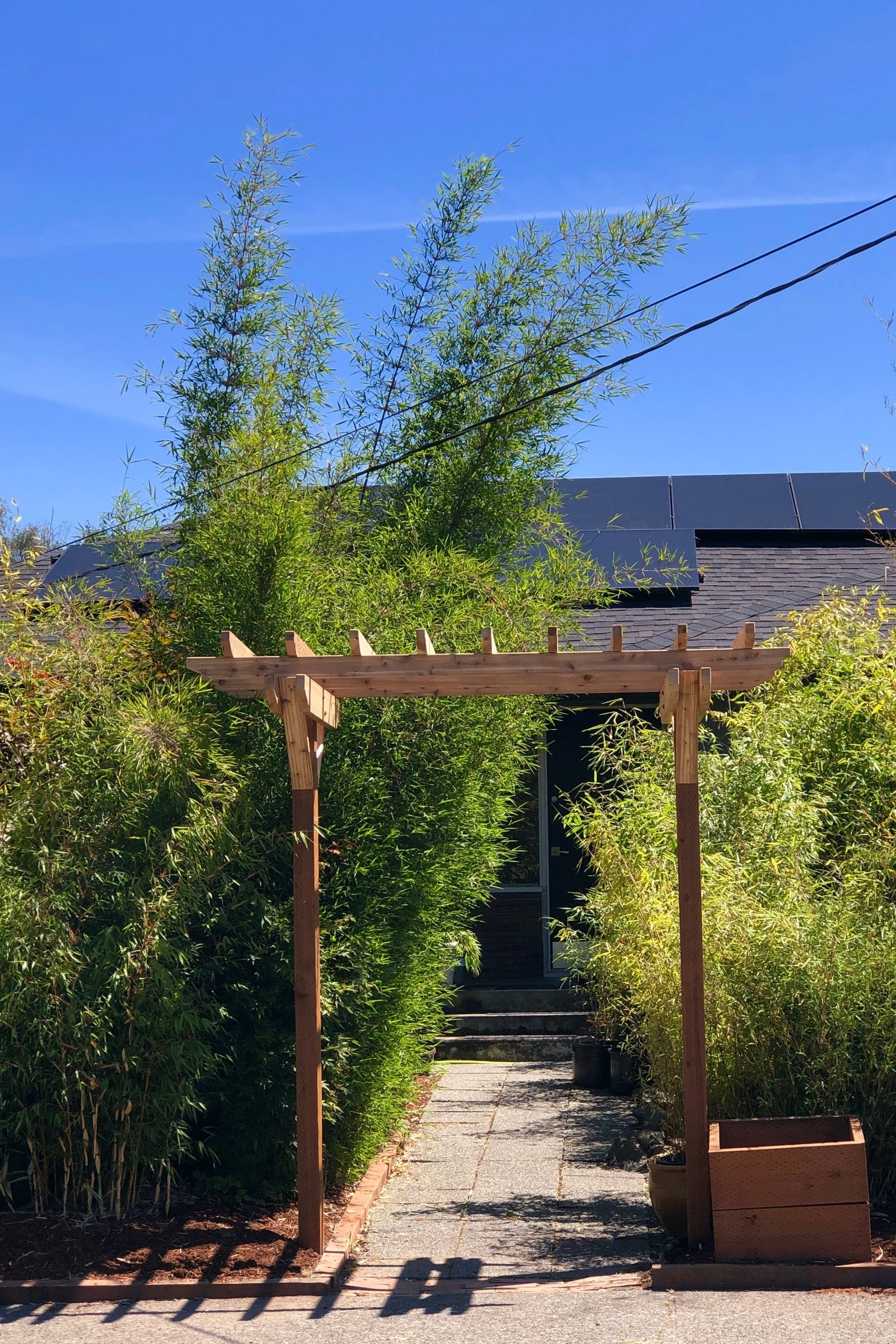 Wooden garden arbor frames Borinda boliana clumping bamboo and a path to a house with solar panels in Seattle, WA.