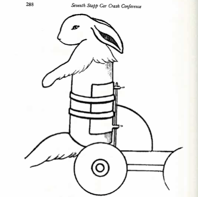 Researchers at Tulane argued that "despite some differences, the ratio of head mass to cervical spine cross-section in rabbit and in man is in reasonable geometric proportion. Moreover, the Belgian hare, if properly positioned, is capable of sitting erect." So, they decided to use rabbits in a study of "whiplash." As the Tulane researchers noted, "The original objective in this experiment was to produce injuries sufficiently severe to cause death and possibly decapitation in the test animals." Yet, this goal proved difficult. When the first test instrument proved insufficient for the challenge, the researchers went through a Goldilocks-like process of designing more and more severe testing equipment, three or four in all, trying to find one that was "just right." But the researchers never obtained their objective. 