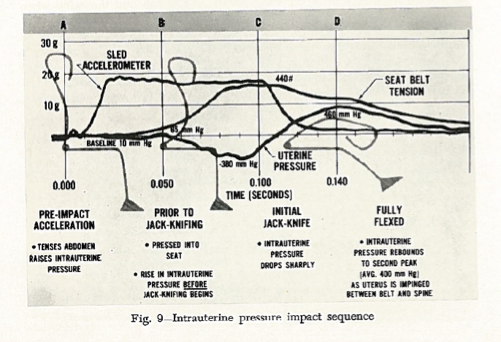 A graphical representation of some of the major biomechanical findings for the seatbelt experiments on pregnant baboons.