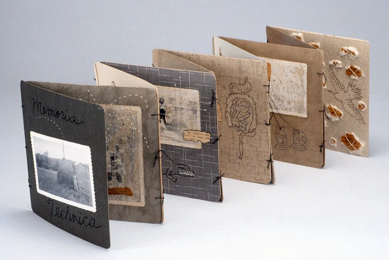 Memoria Technia, Lisa Kokin