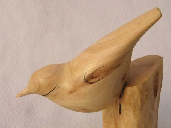 Perhaps the bird looked something like this?...
