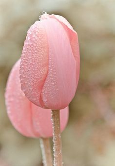 All images via pinterest...