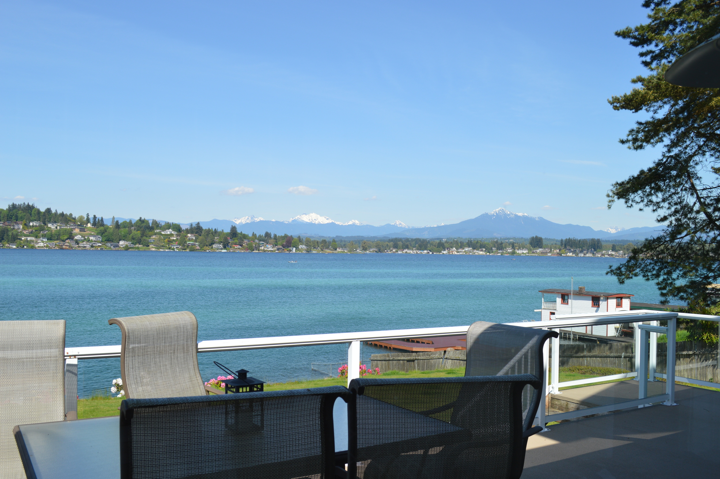 My view from the porch...