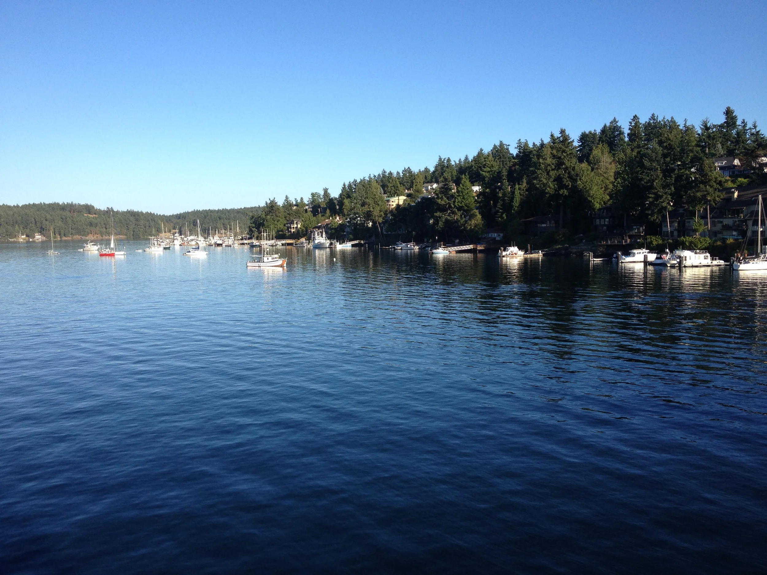 Bay on San Juan Island...