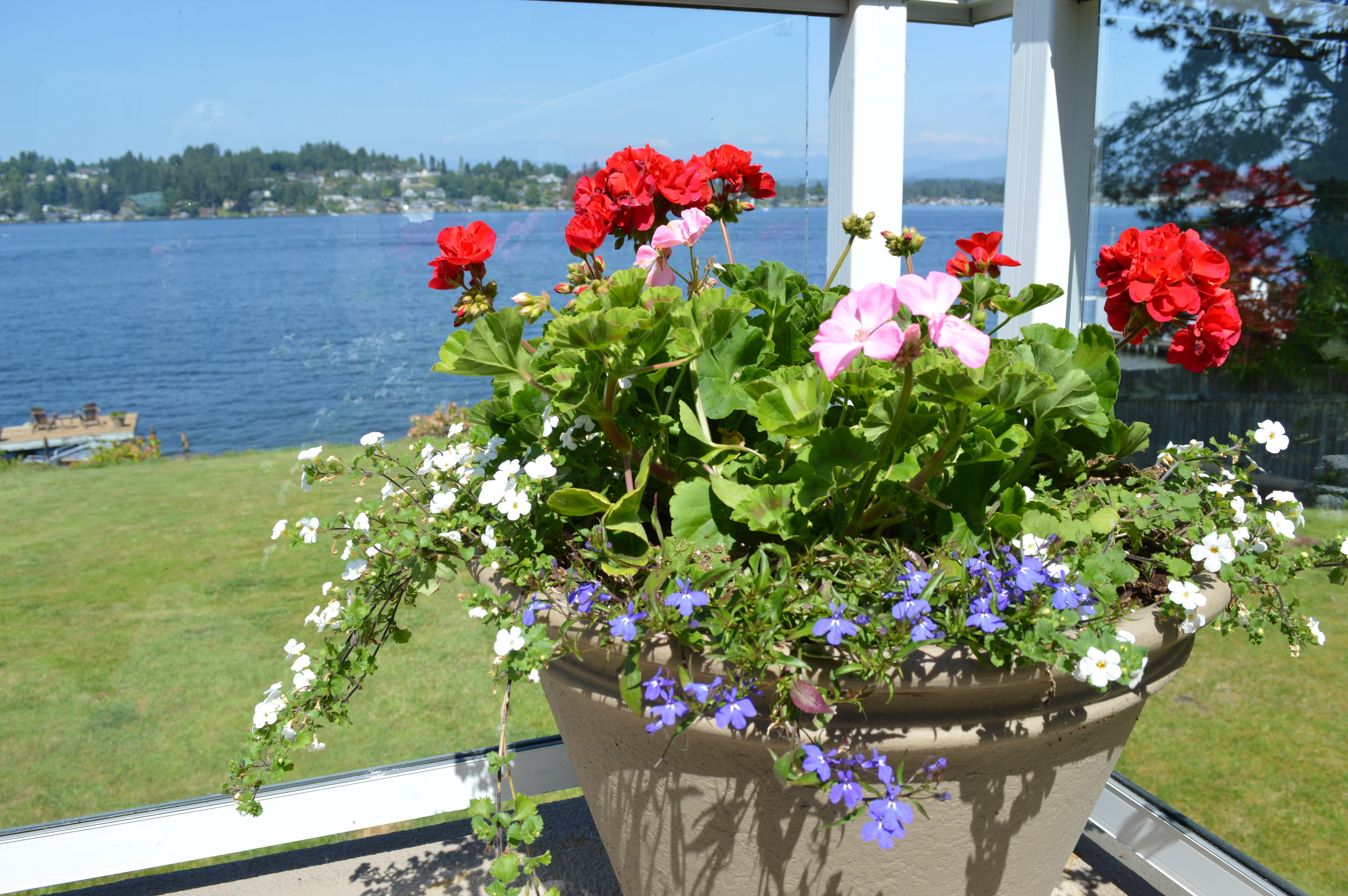 Summer's almost here...